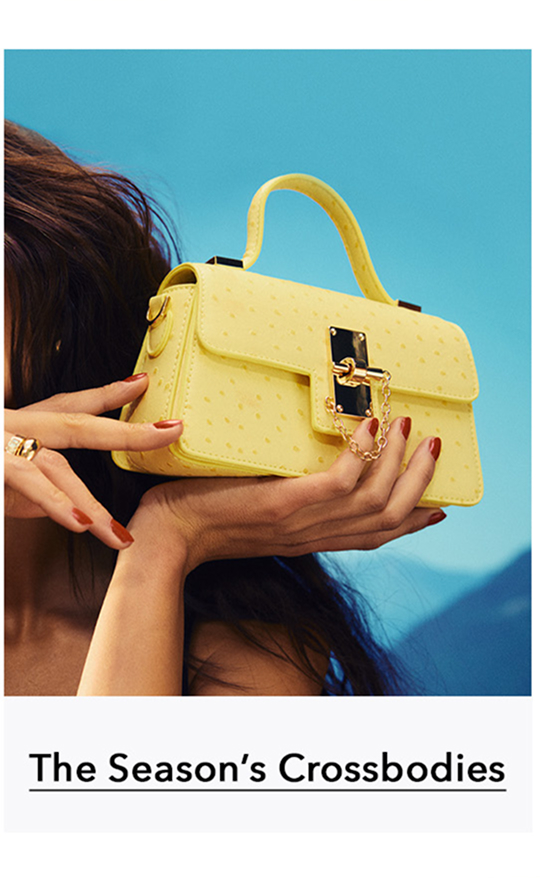 Stylish Crossbodies