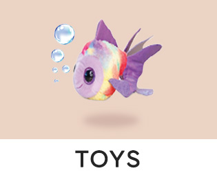 Home-SBC-TOYS