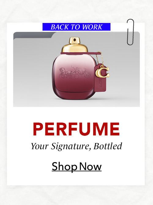 Home-BTW-SBC-PERFUMES